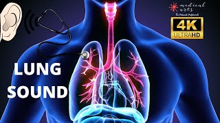 Normal Breathing Sound Effect - 3D Lungs Physiology 4K