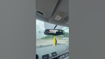 Skar audio is clearly not trash (2 Skar SDR 12s on a Skar RP1500)