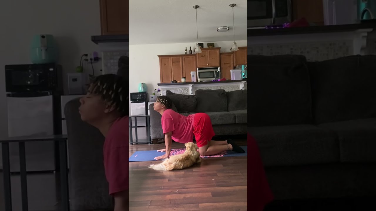 How To Self Care With A Puppy Step 1 Don T Get DogMomChaos