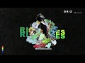 Ride Waves - GRiZ (FULL ALBUM)