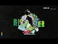 Ride Waves GRiZ FULL ALBUM mp3