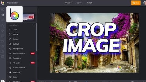 How to Crop Image in Befunky 2025?