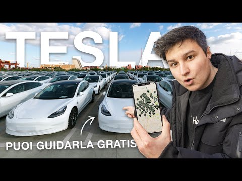 Video: Cosa è successo al semirimorchio Tesla?