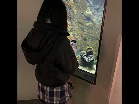 初恋日記