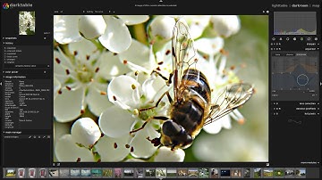 Darktable: Equalizer module