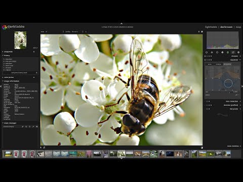 Darktable: Equalizer module