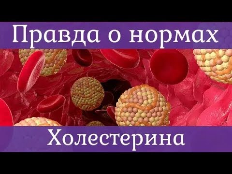 ❤ Правда о нормах холестерина