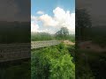 Gundichaghai , keonjhar waterfall  sent by Preetam #shorts #short #shortvideo