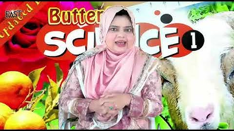 Class 1 Science day43