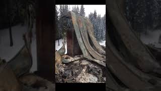 Two Sturdy Gun Safes Survive Complete Burn With No Water Best Fireproof Safe Fire Safe