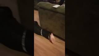 Mannequin challenge Christmas 2016