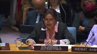 SRSG Patten remarks at the Security Council Open Debate on CRSV