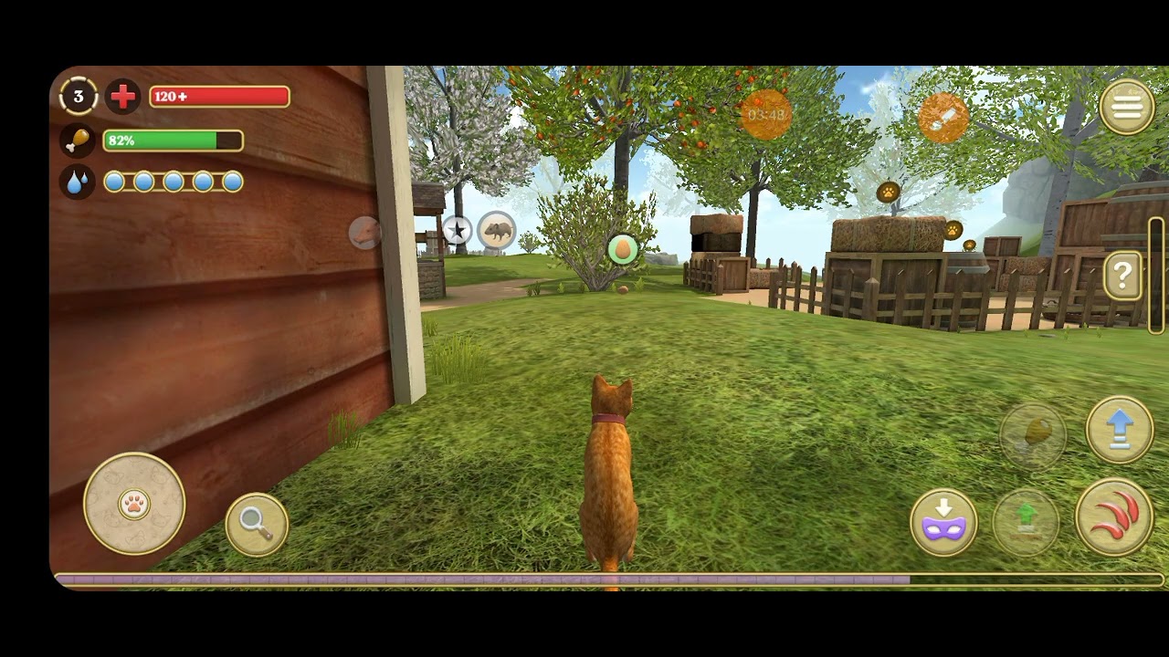 O gato laranja jogo de gato-a meta do proxímo video e de 300 like ️🐈🐱 ...