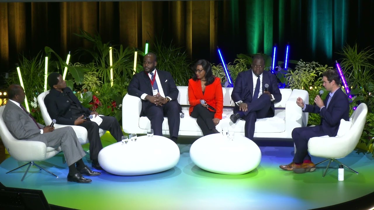 Energies renouvelables : un solution africaine ?