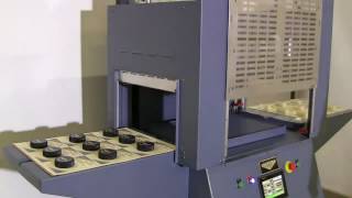 Starview SP-1824-CE Semi-Automatic Skin Packaging Machine | ProPac.com