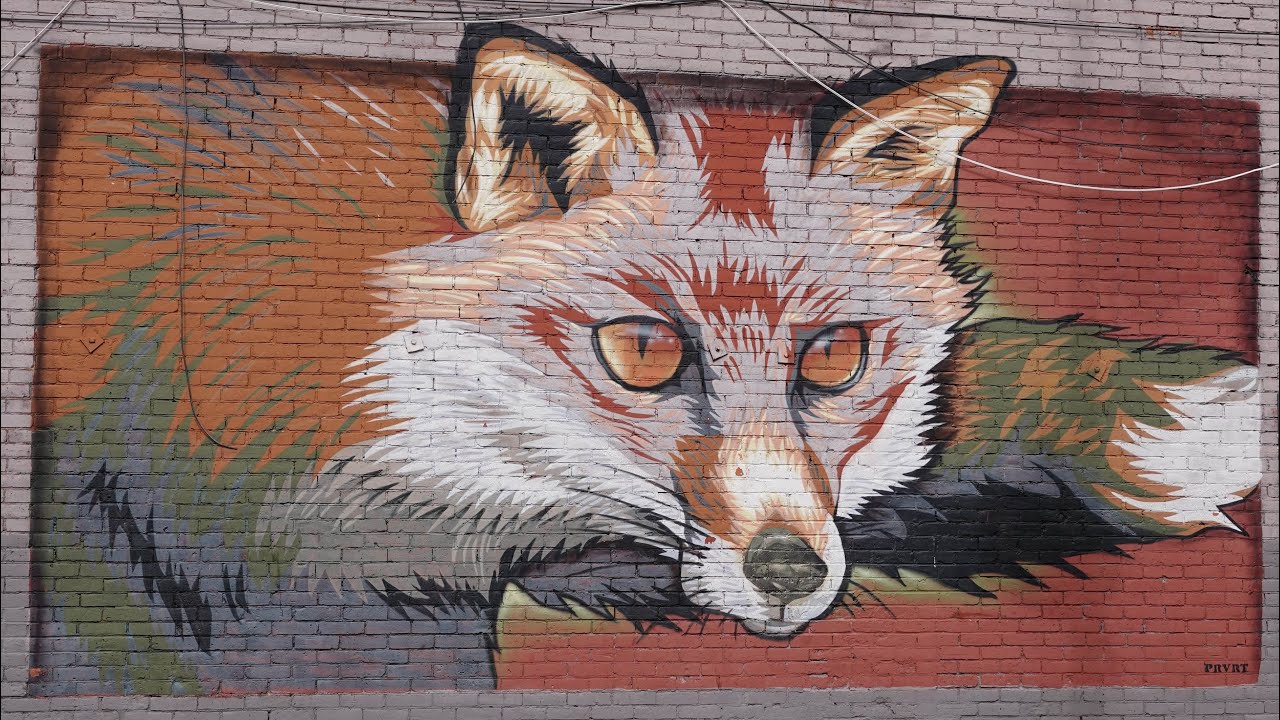 Street Art - Rochester, NY