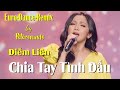 Chia Tay Tình Đầu - Diễm Liên - Petersounds Remix - Italo Disco - Người yêu hỡi xin dấu lệ sầu khi..