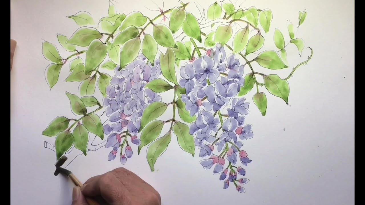 藤の花の描き方 解説 Youtube