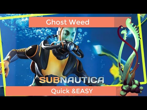 Subnautica How to find GhostWeed Seed Quick and Easy
