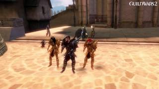Guild Wars 2 - Human Dance