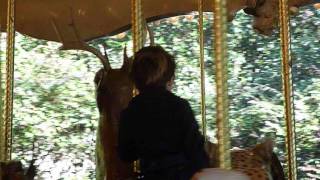 Jax Zoo - 12-30-12 - Carousel