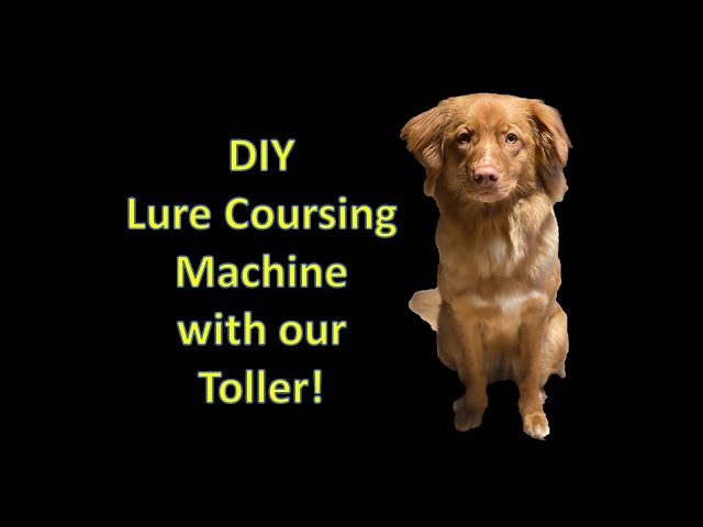 Lure Coursing Dog Machine - DIY - Nova Scotia Duck Tolling