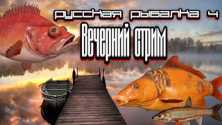 РР4 / Четверг - рыбный день? / Вечерний стрим / Розыгрыши