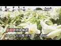 沖永良部島民謡 永良部百合の花(カラオケ風:ボーカル低減) 嶺陽子