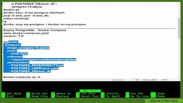 Deploy Run PostgreSQL 14 On Docker / Docker Compose | Rocky Linux