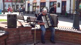 Красивая игра уличного музыканта! Street! Musik! Busker!