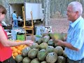 Girona market - La Devesa