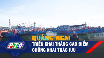 Quảng Ngãi triển khai tháng cao điểm chống khai thác IUU | PTQ