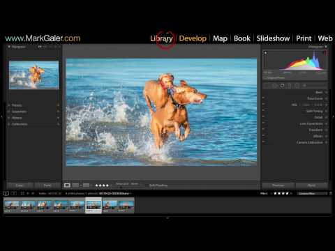 Lightroom Classic - Creating an Export Preset