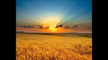 اواخر سورة غافر ادريس ابكر