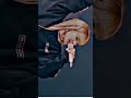 black pink lisa jisoo Jennie rose #shortsvideo #viralvideo2023 black pink ♥️💫🔥🌈