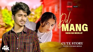 Dil Mang Raha Hai Mohlat | Special Love Story | Hindi Songs | Dekha Hai Jab Se Tumko | Hit Song 2023
