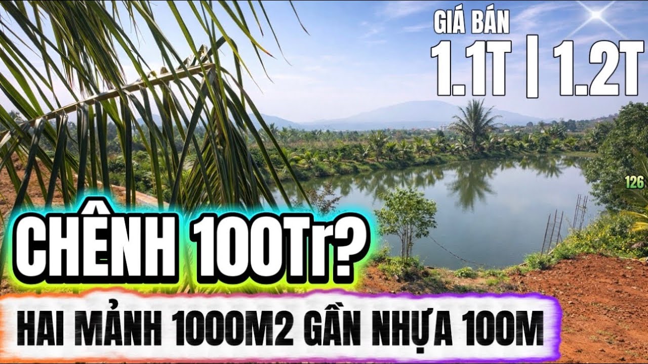 🔴 2 lô 1000m2, chênh 100 triệu – chọn lô nào?