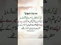 نبی کریم صلی الل ہ علیہ وسلم نے حضرت علی رضہ سے فرمایا کہ تم میرے لئے بہت مہربان اور عزیز ہو 
