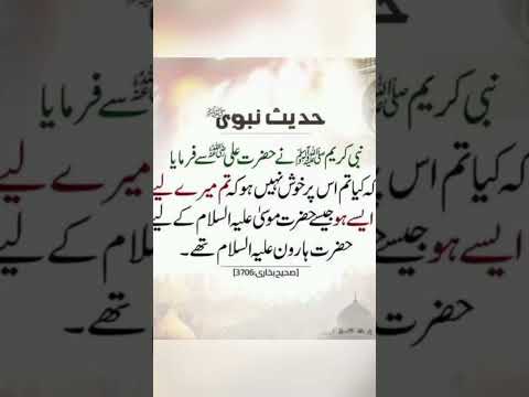 نبی کریم صلی الل ہ علیہ وسلم نے حضرت علی رضہ سے فرمایا کہ تم میرے لئے بہت مہربان اور عزیز ہو 