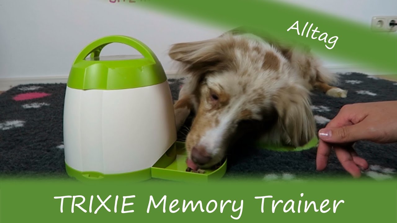 trixie memory trainer for dogs