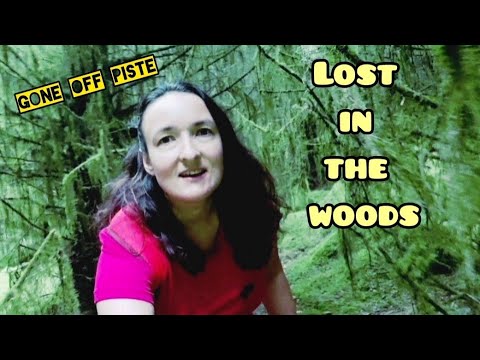 Gisburn Forest - lost without a map or a phone signal