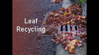 Leaf Recycling