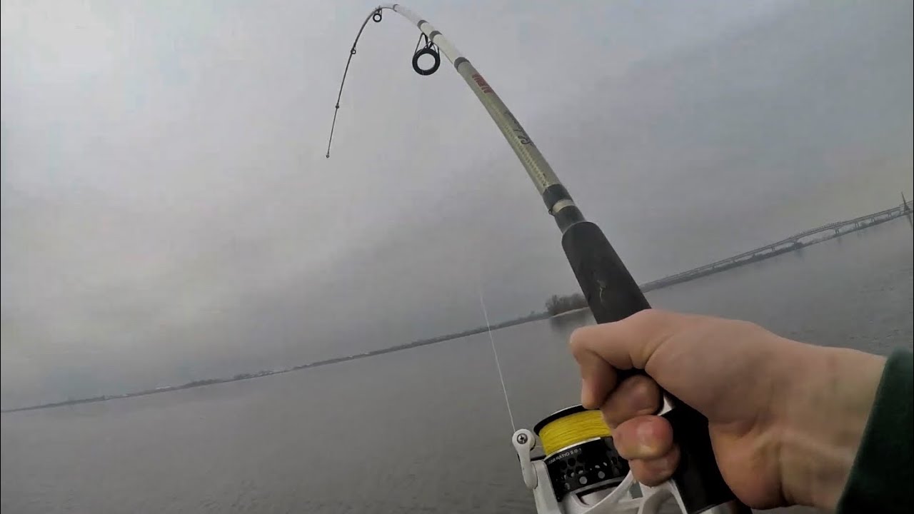 Fishing NEW Spots for Early Delaware River STRIPERS! (spring run) YouTube