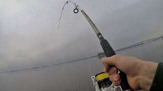 Fishing NEW Spots for Early Delaware River STRIPERS! (spring run)