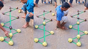 Wow world femus game with Village farms Brinjal between cauliflower chelenge || unique video24m