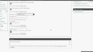 Name1price.com - inserting Excerpt in your Wordpress Blog Post