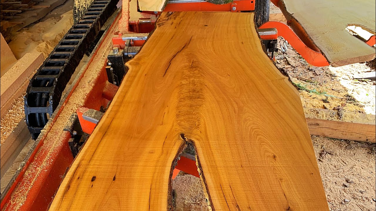 Prepare For Greatness, Mulberry Crotch Log On The Sawmill YouTube