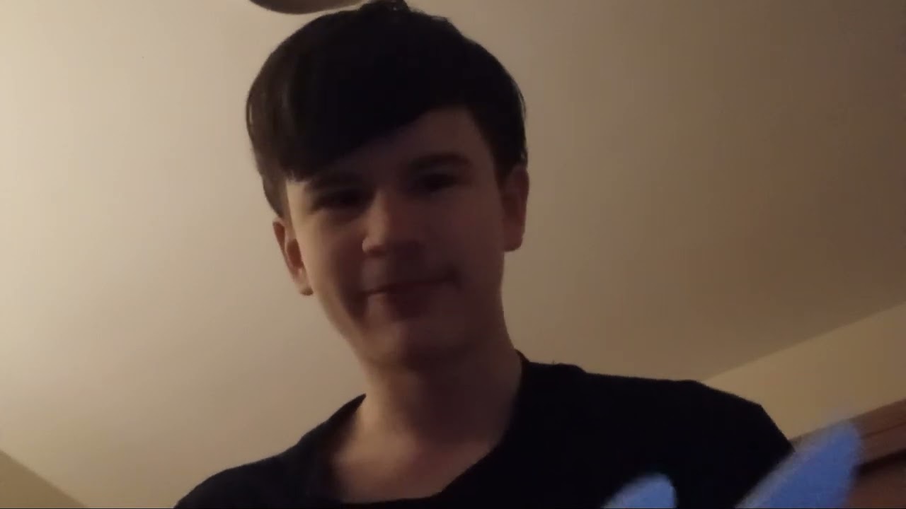 All about bluey book 