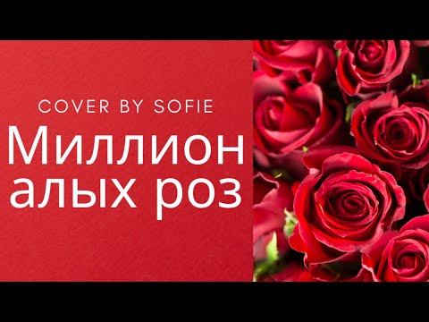 видео: Миллион алых роз - cover by Sofie