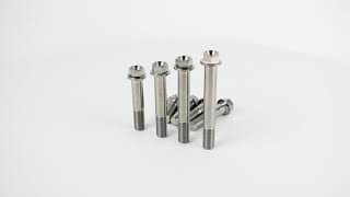 M12 Flange Hex Head Titanium Bolts | RSR Moto